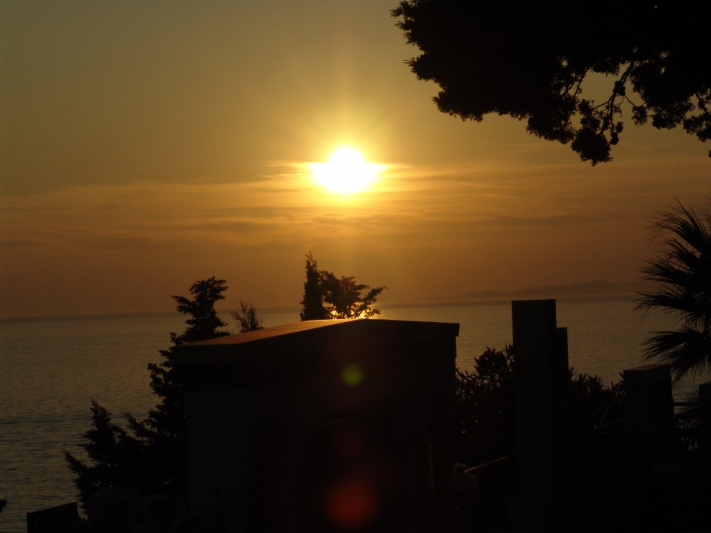 DSC05288