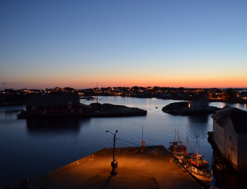 S onu stranu intelekta