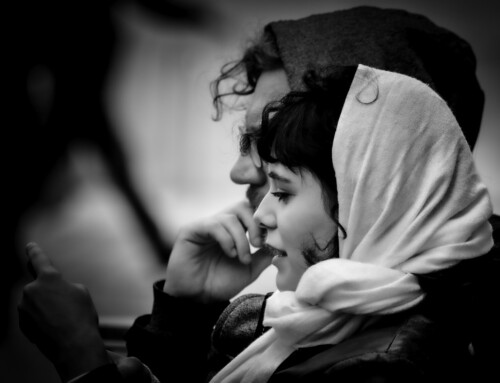 Opsjednutost Animom i Animusom