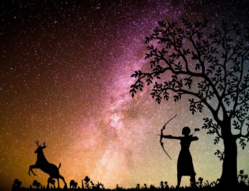 Bit je u osvještavanju polariteta