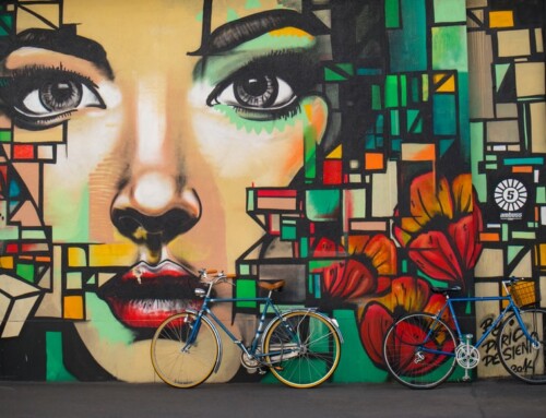 Prvi susret muškarca s Animom