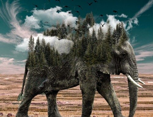 Otrovno moraliziranje i posuđeni ciljevi