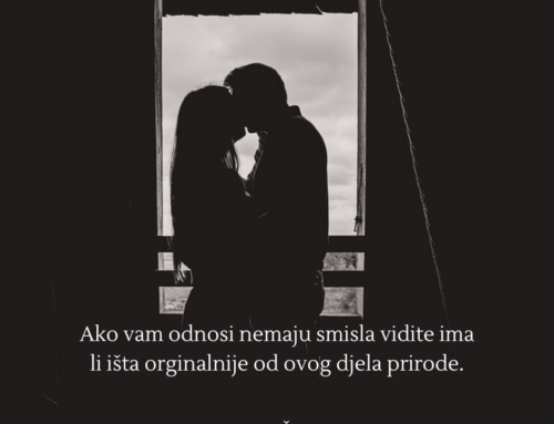 Ljubav i zaljubljenost